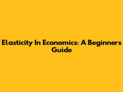 Elasticity In Economics: A Beginner's Guide