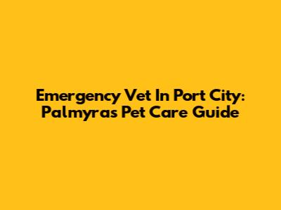 Emergency Vet In Port City: Palmyra's Pet Care Guide